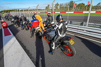 Lower Group Silver_Grey Bikes